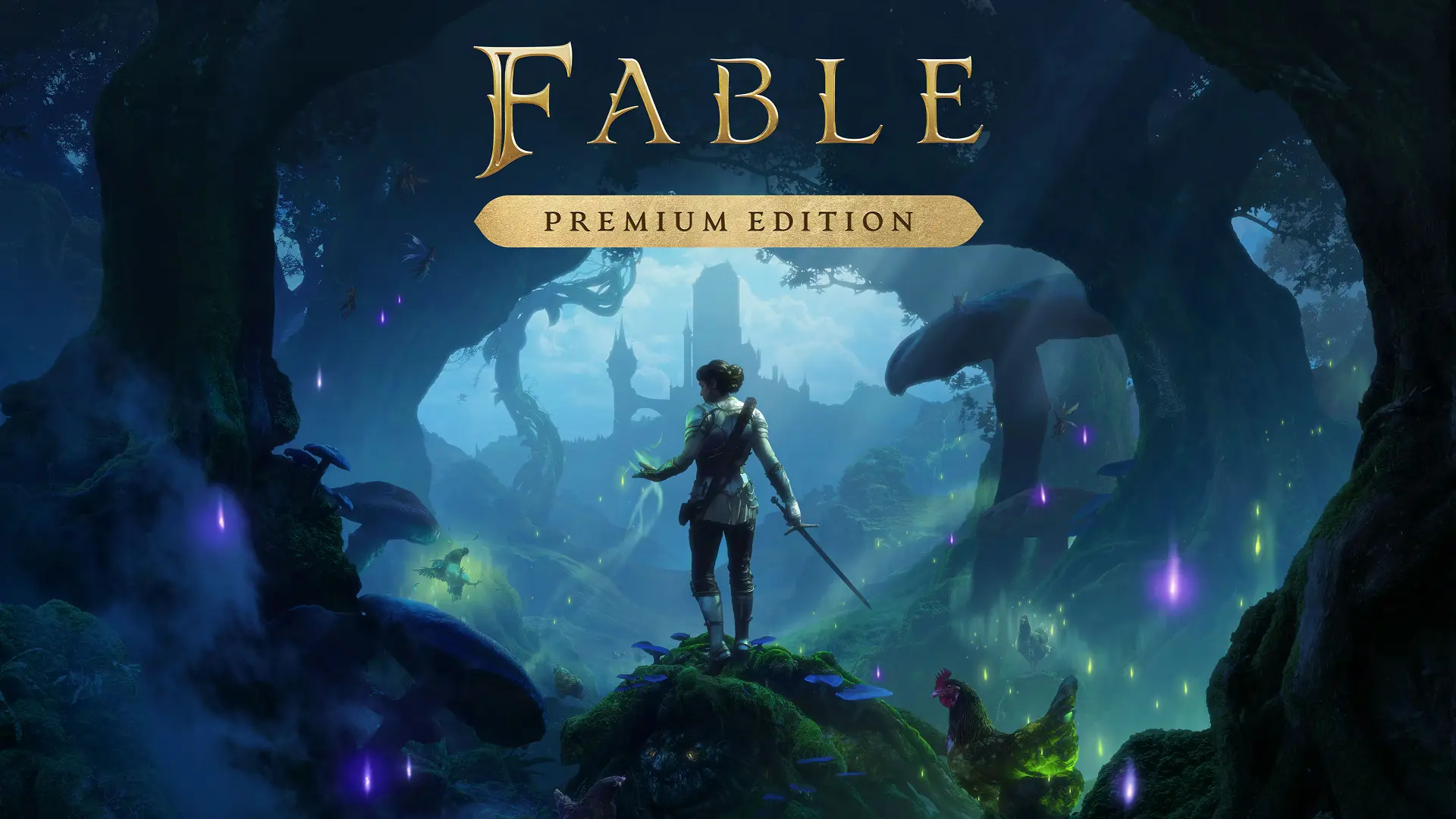 Fable Gameplay